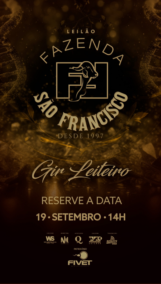 Leilão Gir Leiteiro São Francisco - Paula Galo
