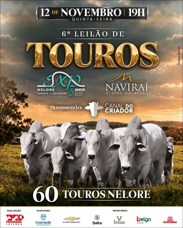6º Leilão de Touros Expedito & Naviraí