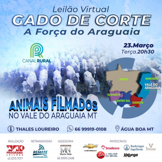 Leilão Virtual Gado de Corte - A Força do Araguaia