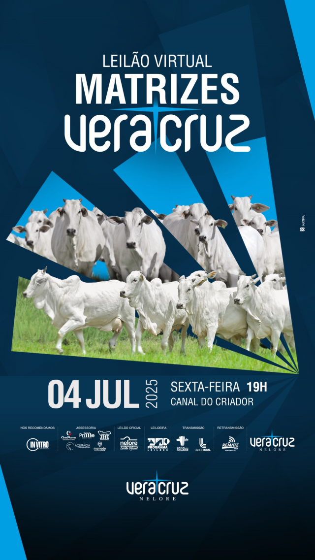 Leilão Virtual Matrizes - Vera Cruz