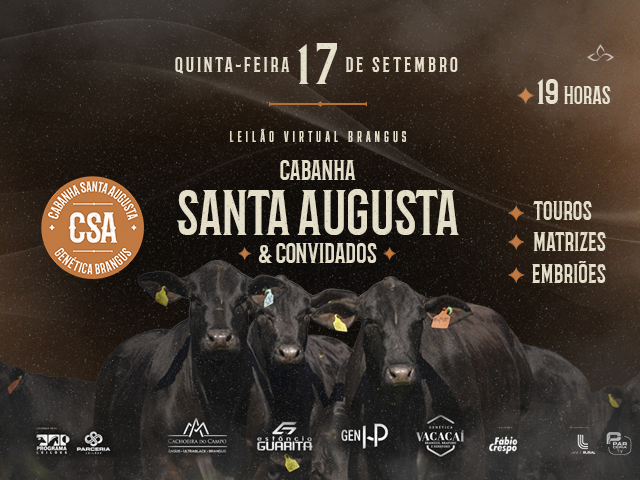 Leilão Virtual Brangus Cabanha Santa Augusta & Convidados