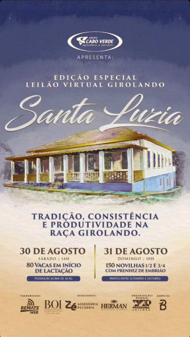 Leilão Virtual Girolando Santa Luzia - Vacas em Lactação