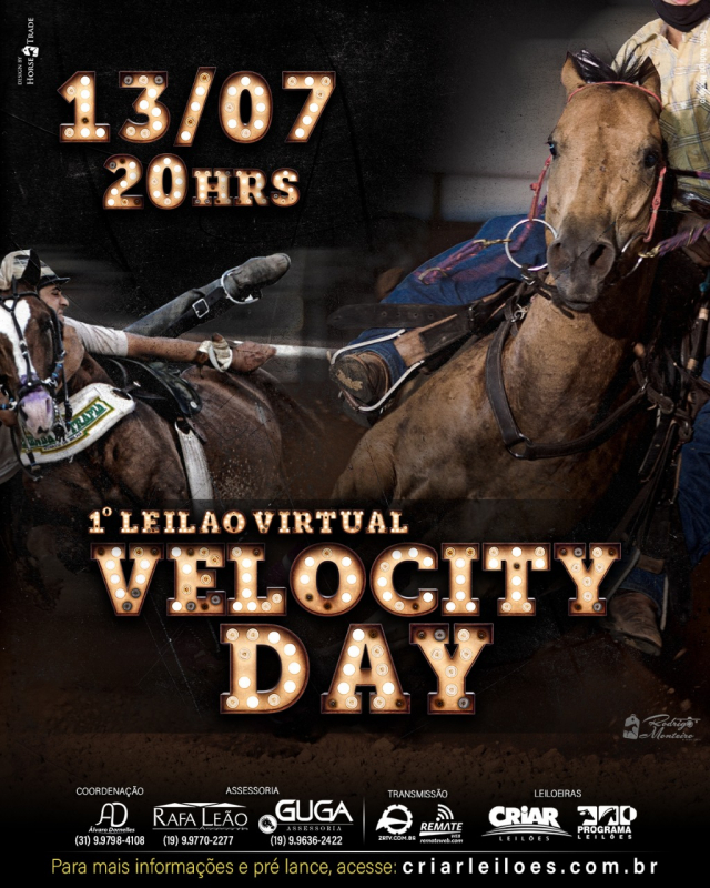 1° Leilão Virtual Velocity Day