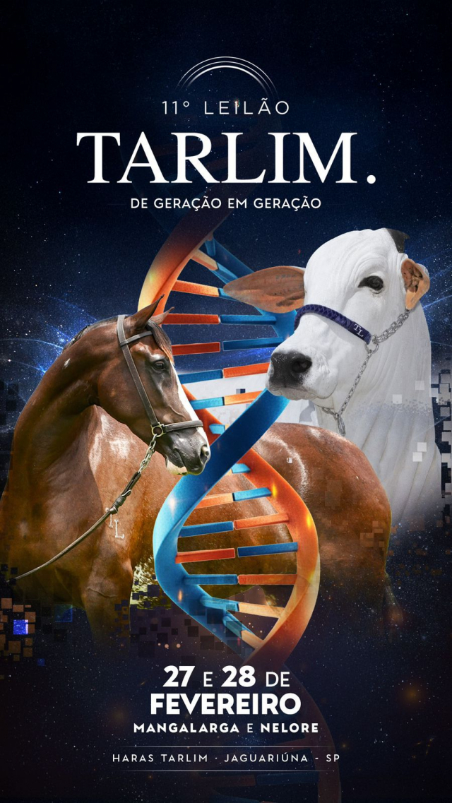 11º Leilão Tarlim. de Geração em Geração