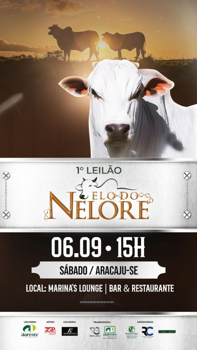1º Leilão Elo do Nelore