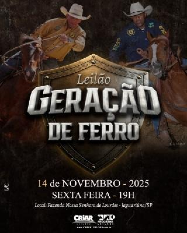Leilão Geração de Ferro