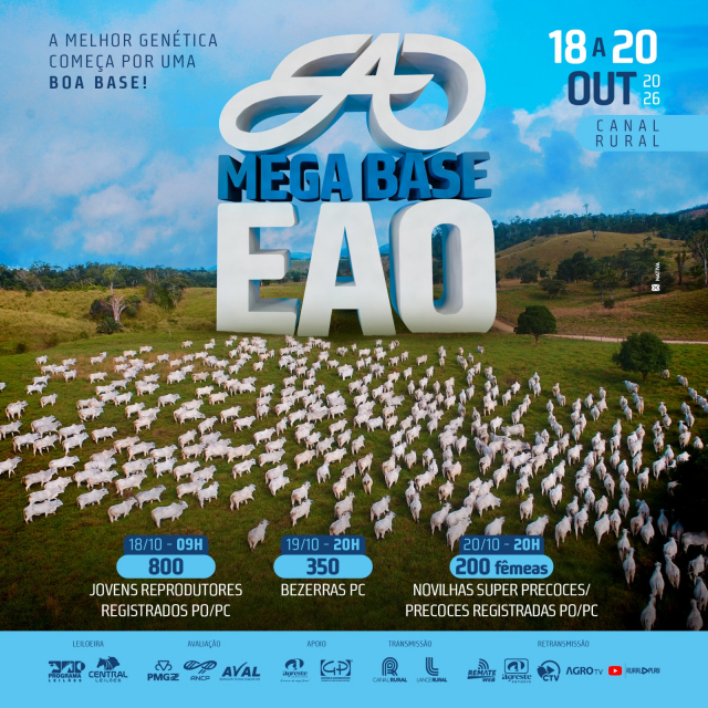Mega Base EAO - Bezerras PC