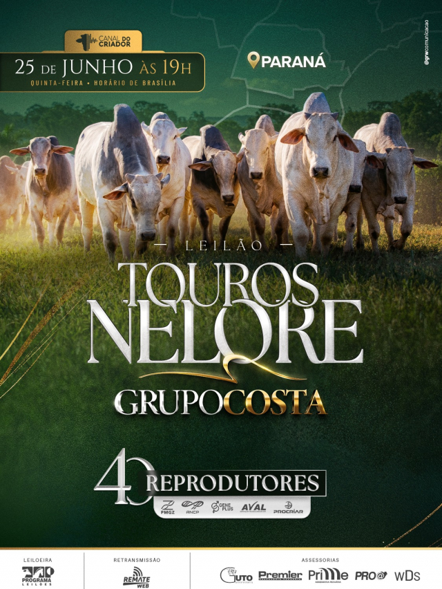 Leilão Touros Nelore Grupo Costa