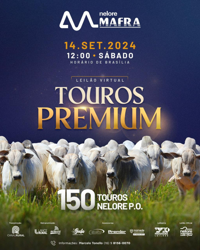 Leilão Virtual Mafra - Touros Premium