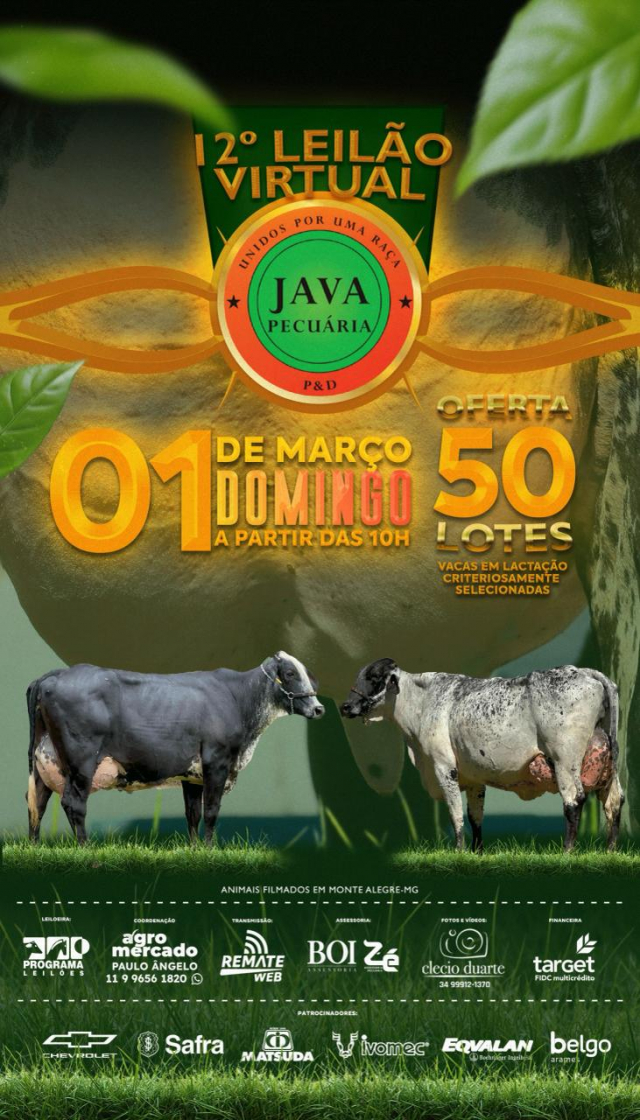 2º Leilão Virtual Java Pecuária