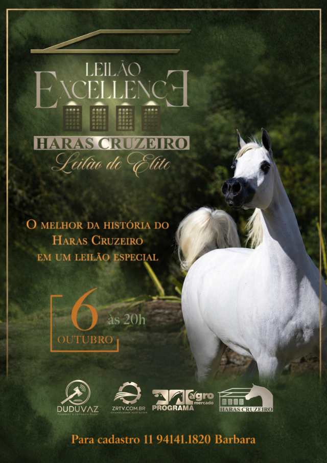 Leilão Excellence Haras Cruzeiro