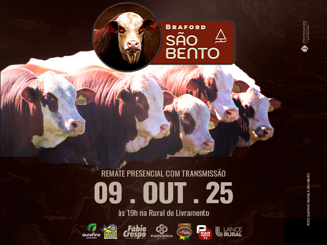 Leilão Braford São Bento