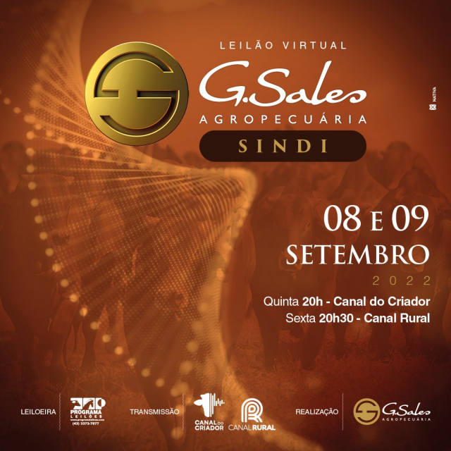 Leilão Virtual Sindi G. Sales Agropecuária - 08/09