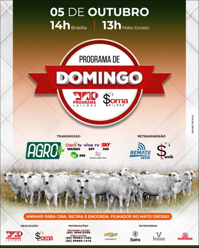 128º Programa de Domingo - Programa e Soma Leilões