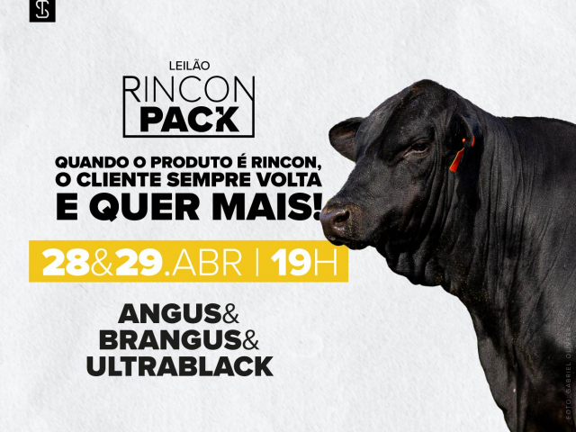 Leilão Virtual Rincon Pack - 2º Etapa