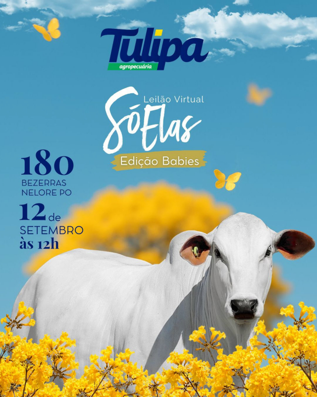 Leilão Virtual Tulipa Agropecuária - Só Elas Babies