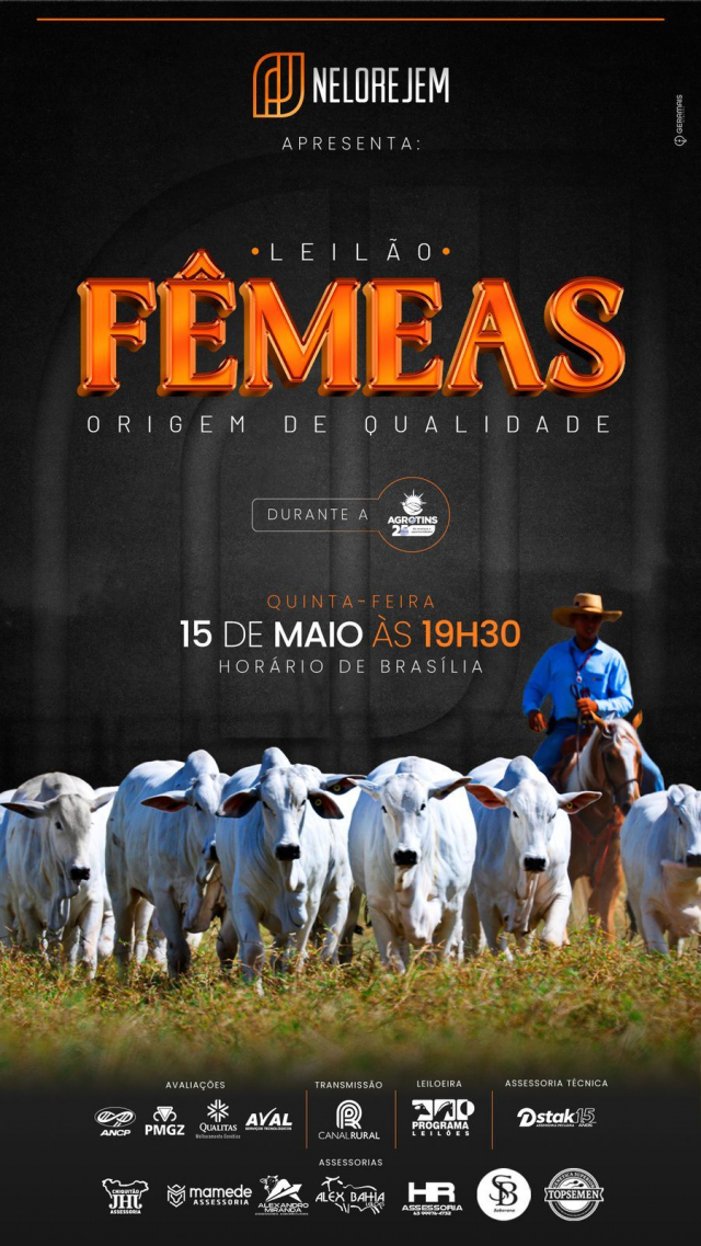 Leilão Fêmeas Nelore JEM - Origem de Qualidade