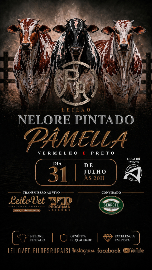 Leilão Nelore Pintado Pâmela