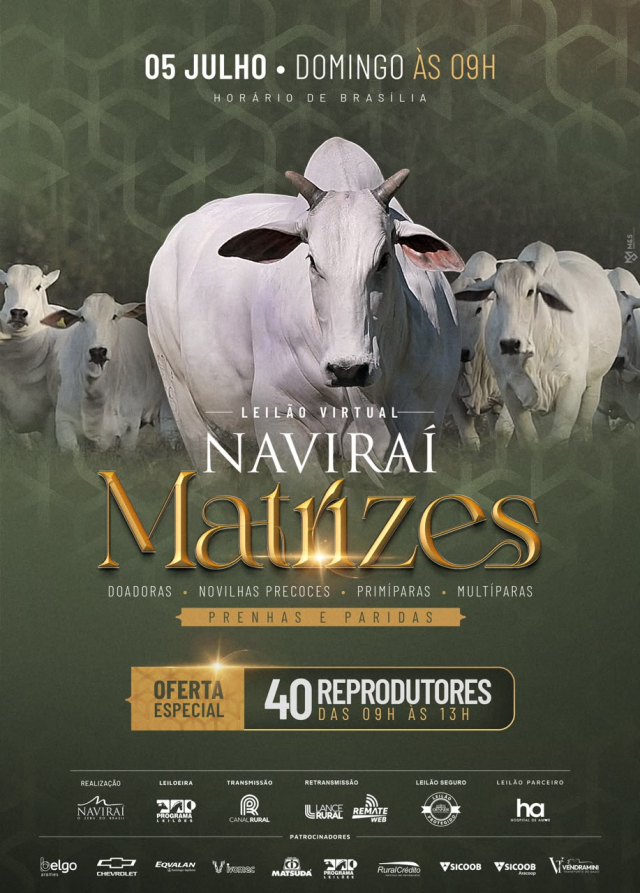 Leilão Virtual Naviraí - Matrizes