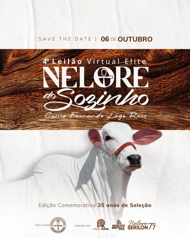 Leilão Virtual Nelore Serilon & Nelore Sozinho