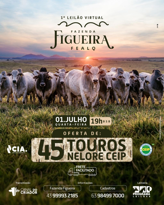 1º Leilão Virtual Fazenda Figueira FEALQ