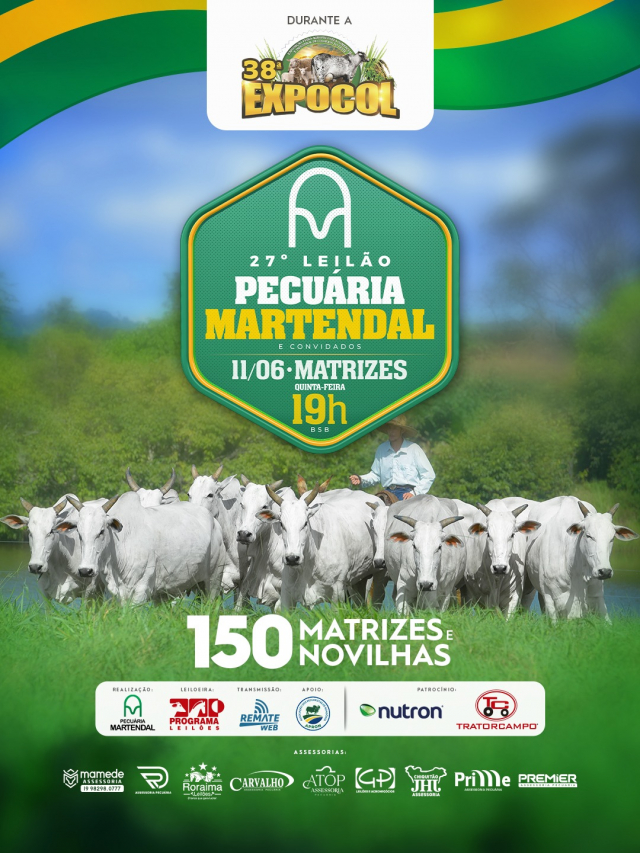 27º Leilão Pecuária Martendal -  Matrizes