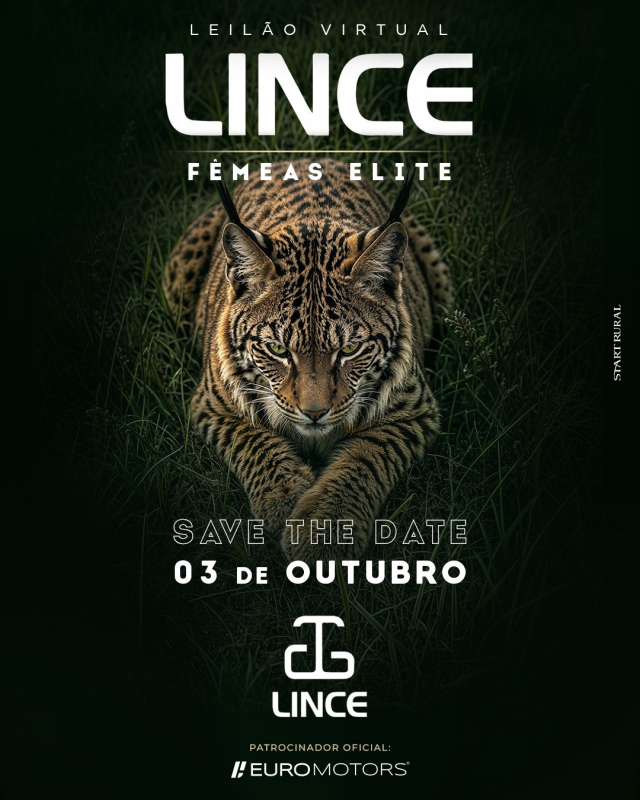 Leilão Virtual Elite Lince Matrizes