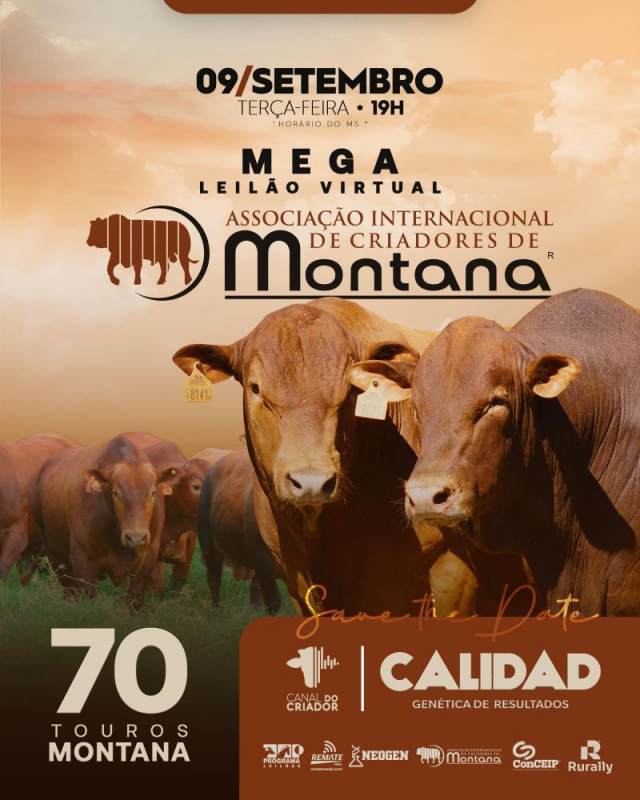 Mega Leilão Virtual Touros Montana Calidad