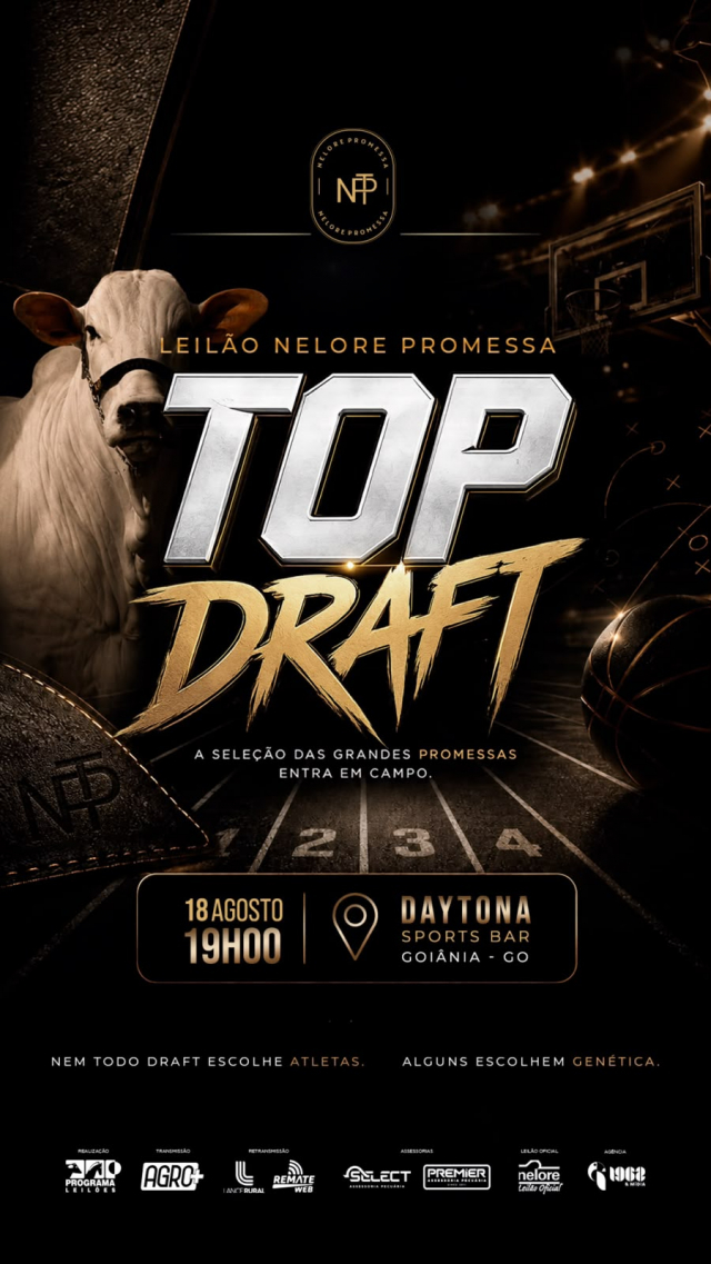 Leilão Nelore Promessa Top Draft