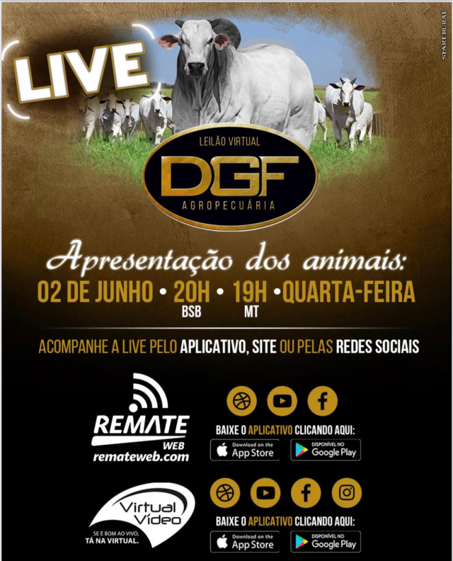 LIVE | Leilão Virtual DGF Agropecuária