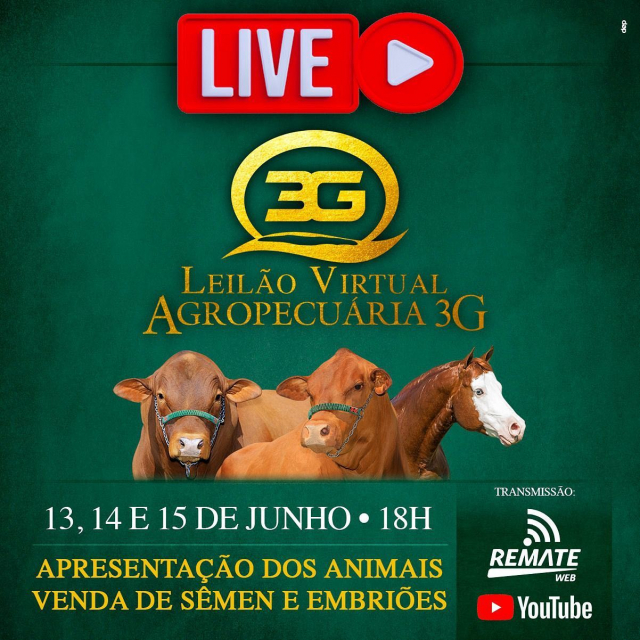 LIVE | Leilão Virtual Agropecuária 3G