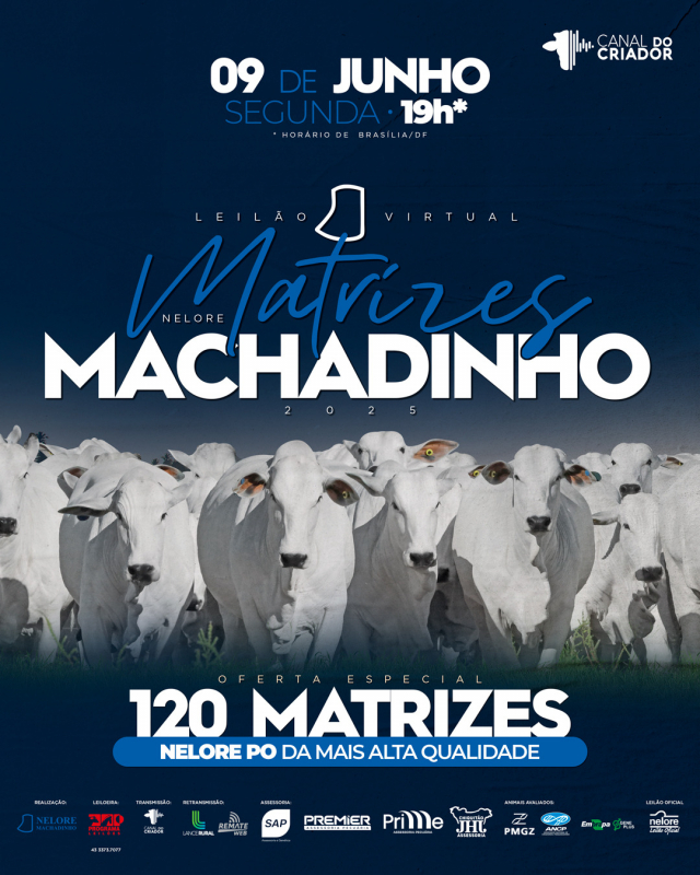 Leilão Virtual Matrizes Machadinho