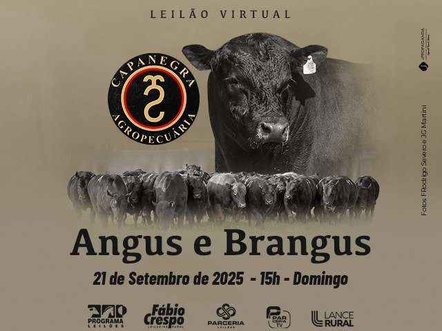 Leilão Virtual Capanegra Agropecuária - Angus e Brangus