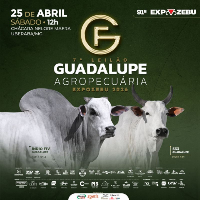 7º Leilão Guadalupe Agropecuária - Expozebu 2026