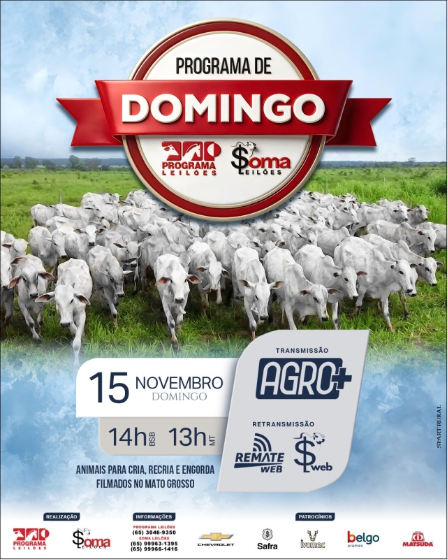 168° Programa de Domingo - Programa e Soma Leilões