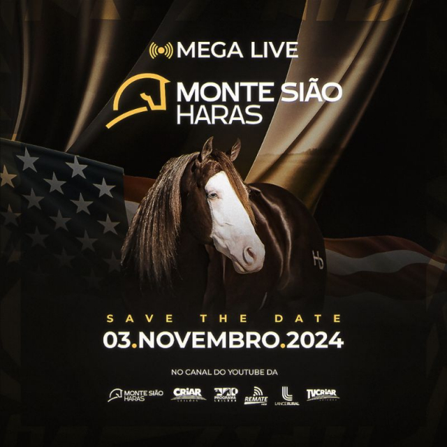 MEGA LIVE - Monte Sião Haras