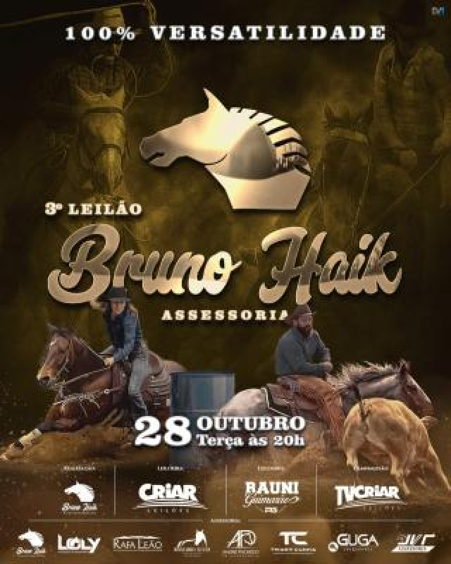 3º Leilão Virtual Bruno Haik Assessoria
