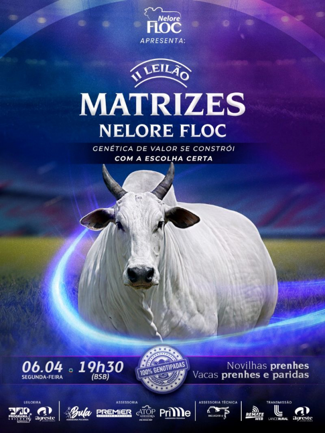 II Leilão Virtual Matrizes Nelore Floc
