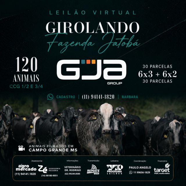 Leilão Virtual Girolando Fazenda Jatobá
