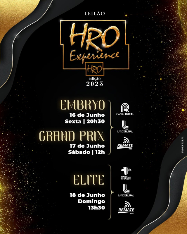 Leilão HRO Experience - Grand Prix