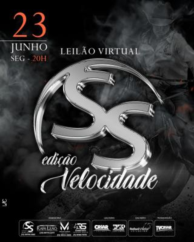 Leilão Virtual SS - Edição Velocidade