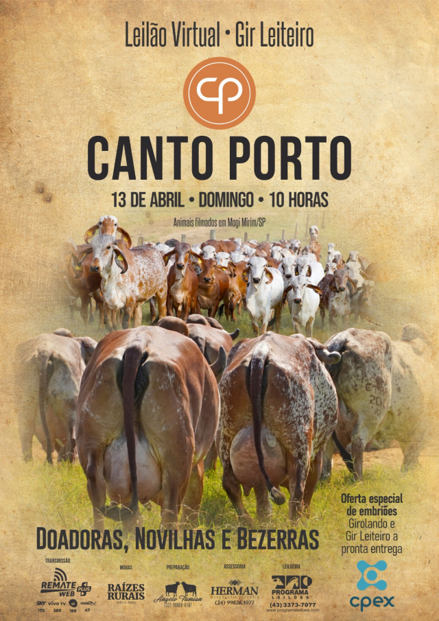 Leilão Virtual Gir Leiteiro Canto Porto