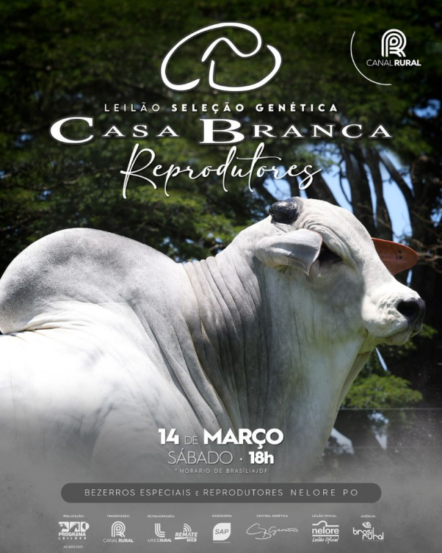 Leilão Virtual Seleção Genética Casa Branca - Reprodutores