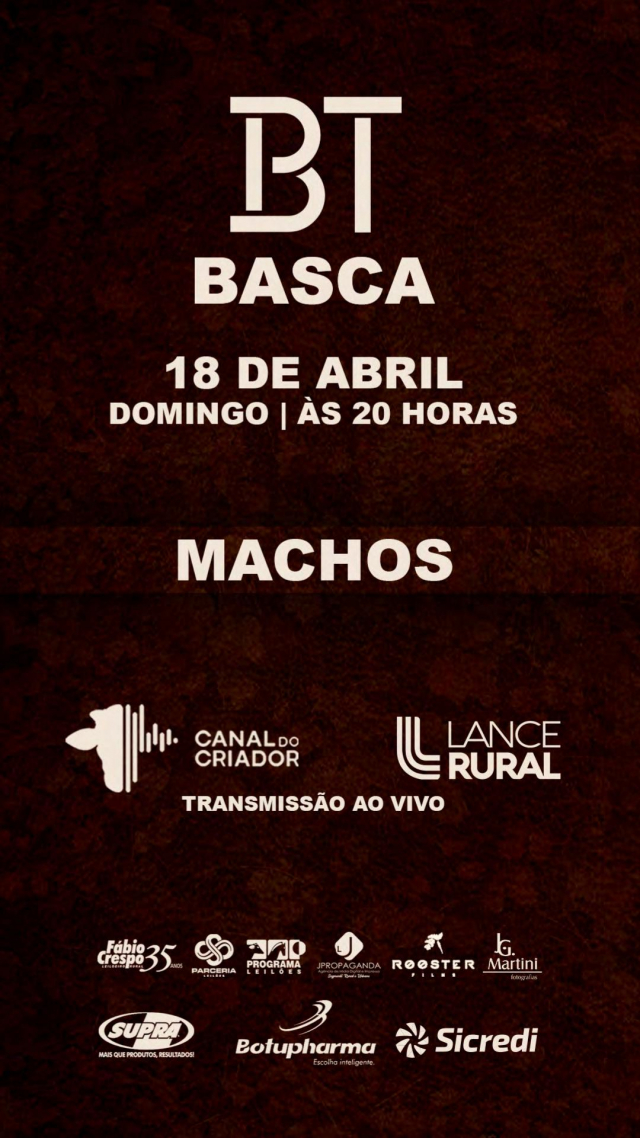 BT Basca - Etapa Machos