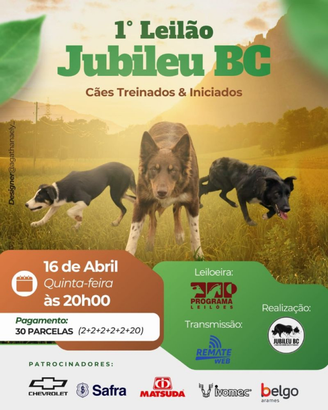 1° Leilão Virtual Jubileu BC
