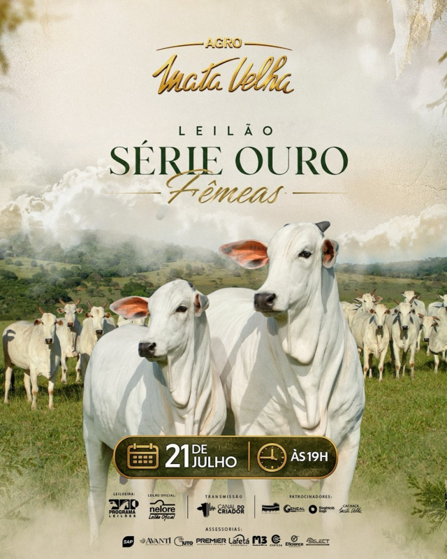 Leilão Série Ouro Fêmeas - Agro Mata Velha