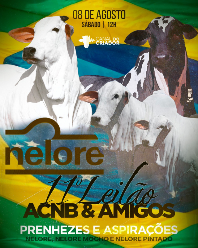 11º Leilão ACNB & Amigos - Prenhezes e Aspirações