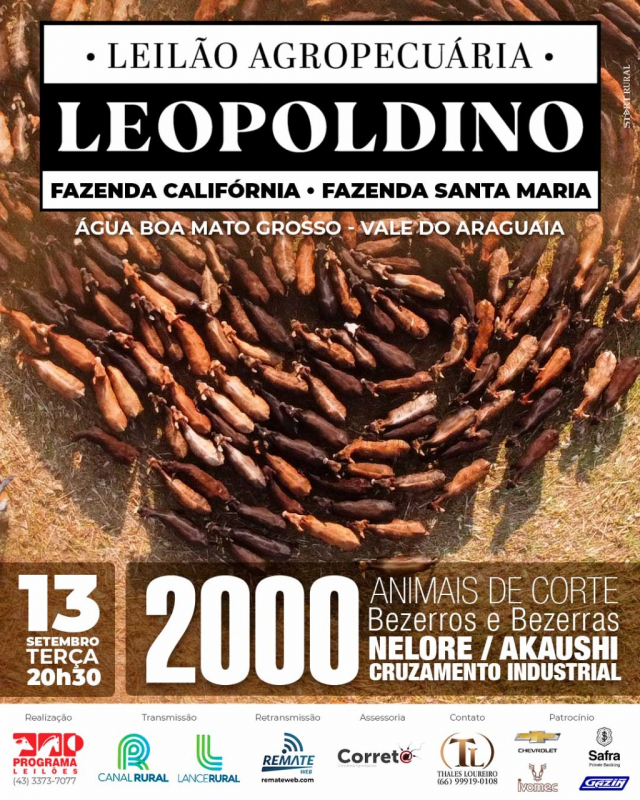 Leilão Agropecuária Leopoldino