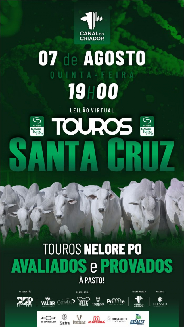 Leilão Virtual Touros Santa Cruz