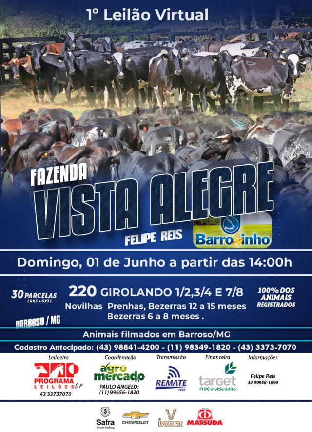 1º Leilão Virtual Girolando Fazenda Vista Alegre